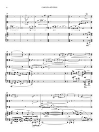 Carolina Reveille - Paul Schoenfeld