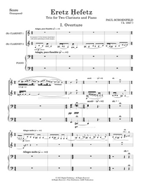 Eretz Hefetz - Paul Schoenfeld
