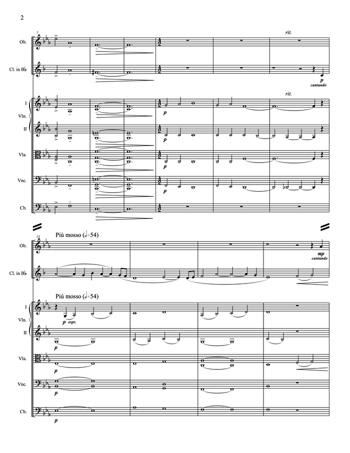 Infinite song (in memory of Stanislaw Skrowaczewski) – Steve Heitzeg