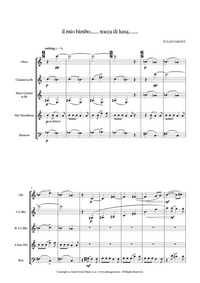 il mio bimbo....... tocca di luna...... – for reed quintet - Julian Grant