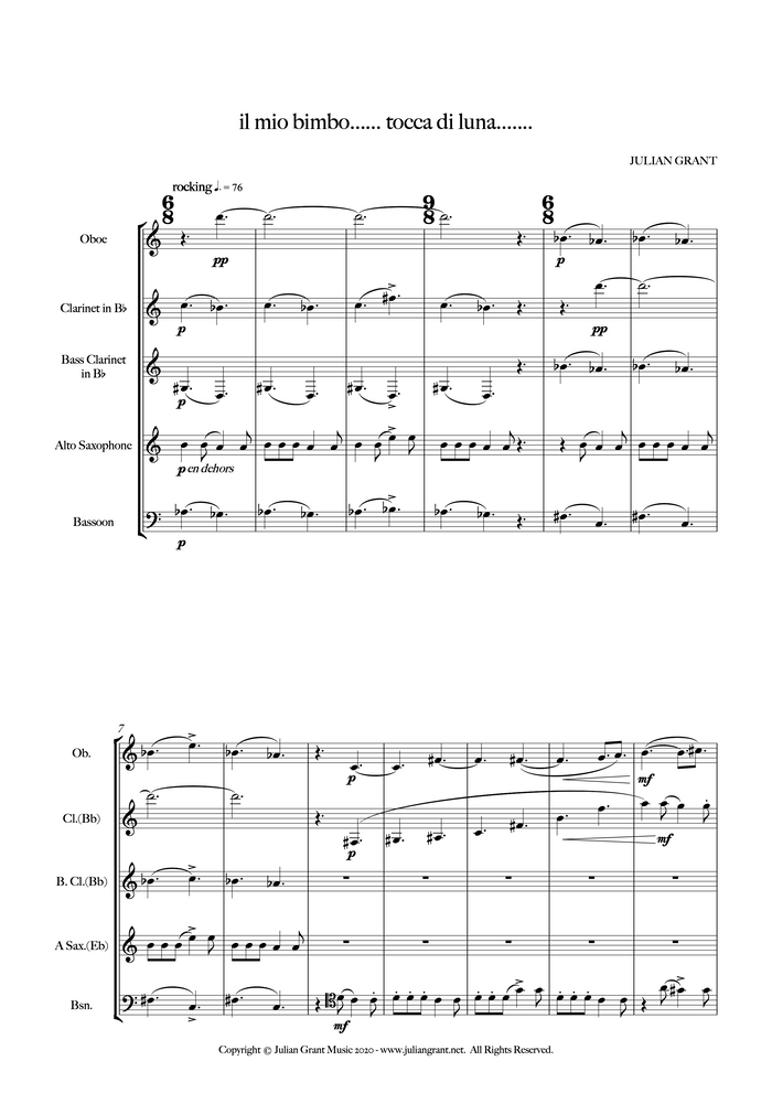 il mio bimbo....... tocca di luna...... – for reed quintet - Julian Grant