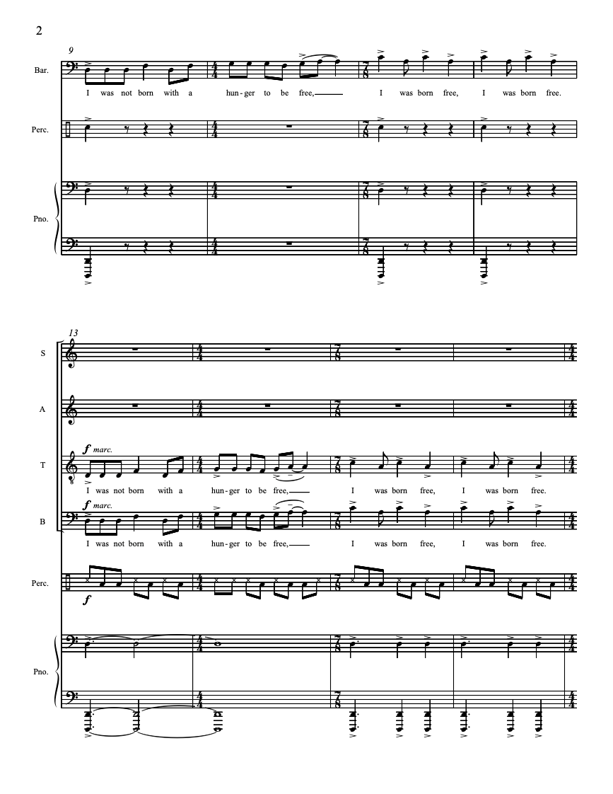 Long Walk To Freedom – Steve Heitzeg