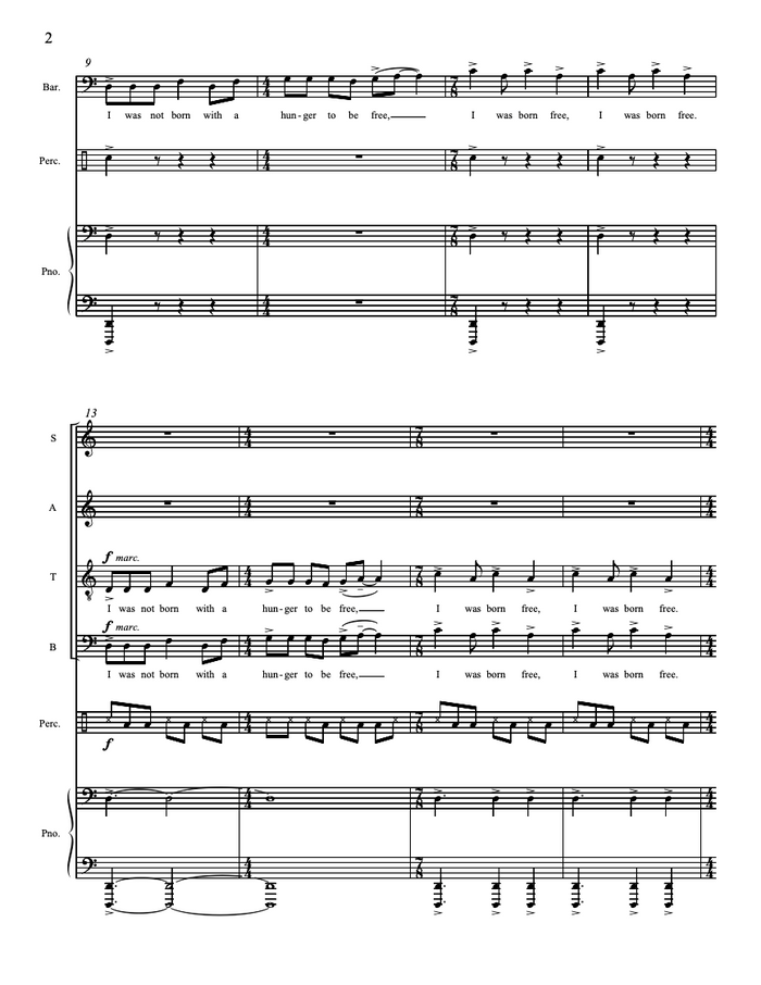Long Walk To Freedom – Steve Heitzeg