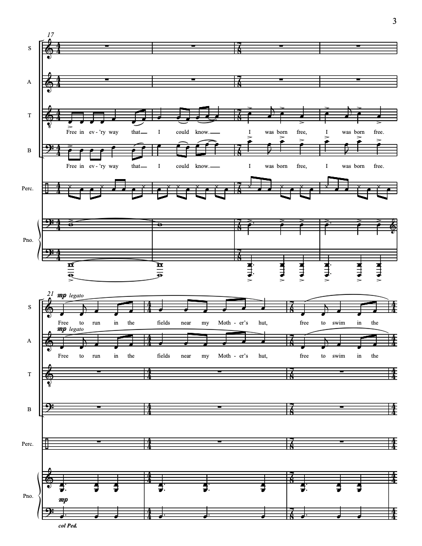 Long Walk To Freedom – Steve Heitzeg