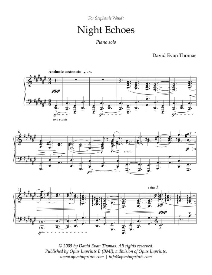 Night Echoes - David Evan Thomas