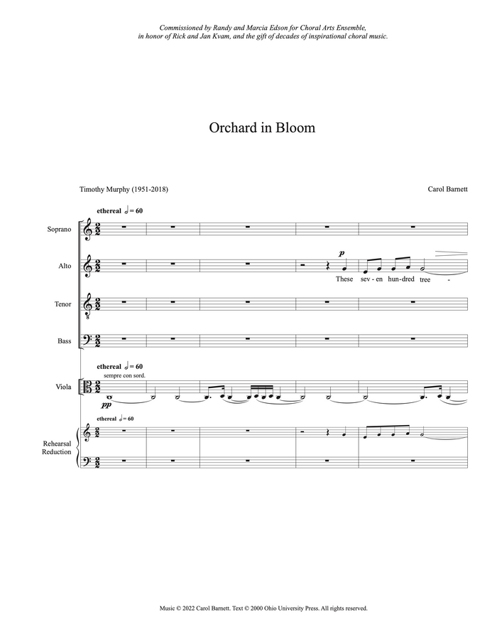 Orchard in Bloom – Carol Barnett