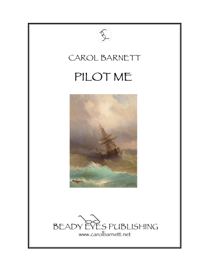 Pilot Me – Carol Barnett