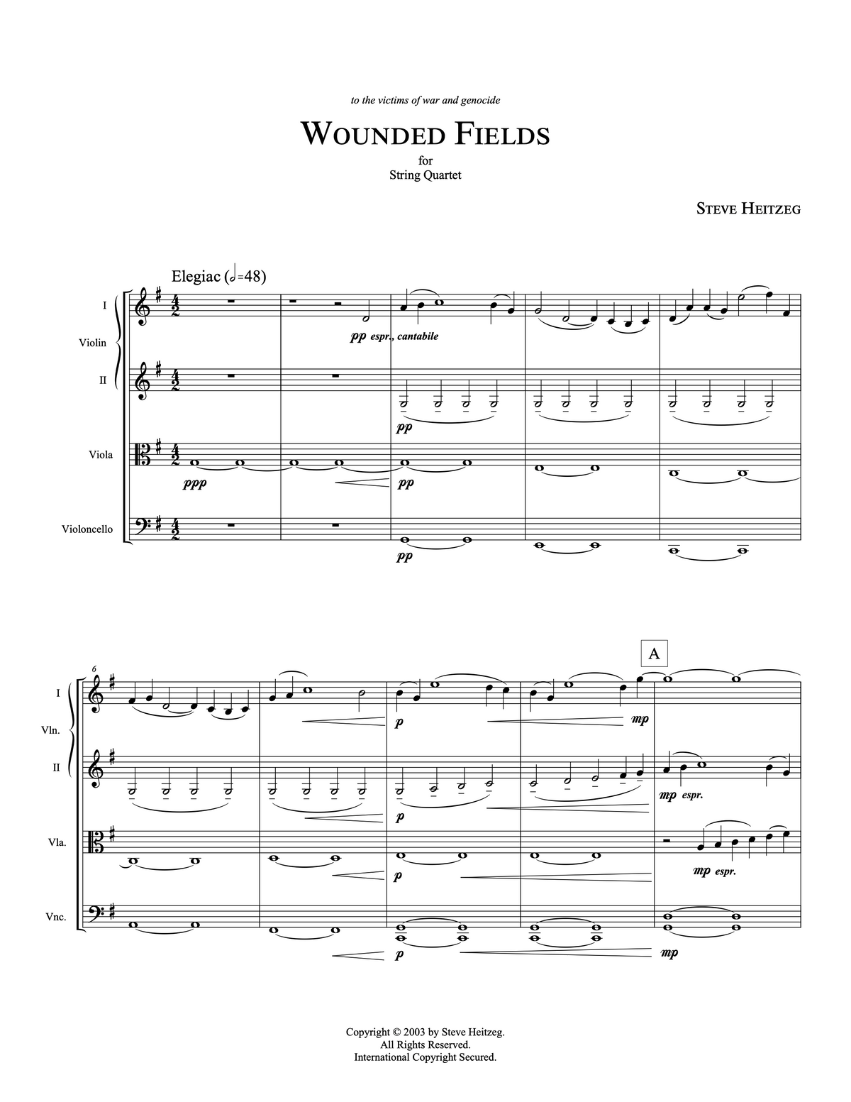WOUNDED FIELDS – Steve Heitzeg