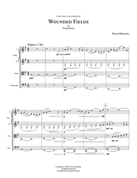 WOUNDED FIELDS – Steve Heitzeg