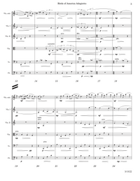Adagietto (from Birds of America) - Scott Wheeler