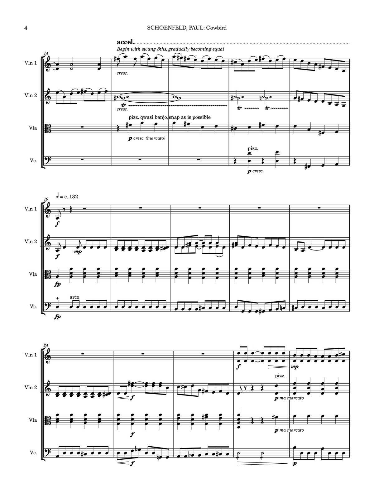 Cowbird - Paul Schoenfeld