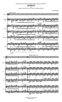 earthbird – Steve Heitzeg