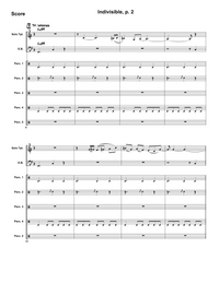 Indivisible – Steve Heitzeg