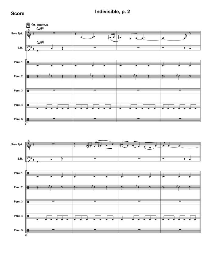 Indivisible – Steve Heitzeg