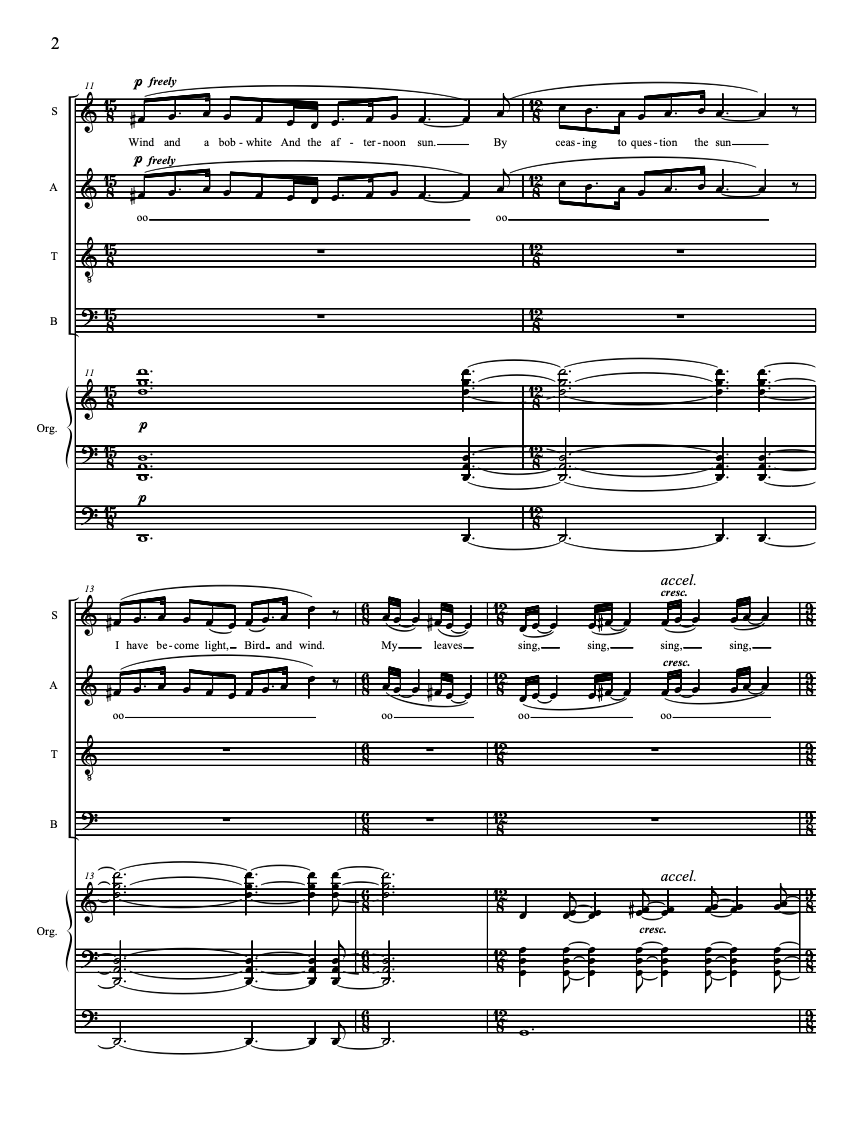 I am Earth – Steve Heitzeg