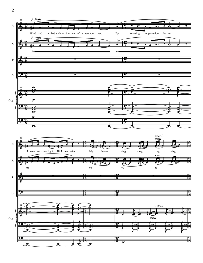 I am Earth – Steve Heitzeg