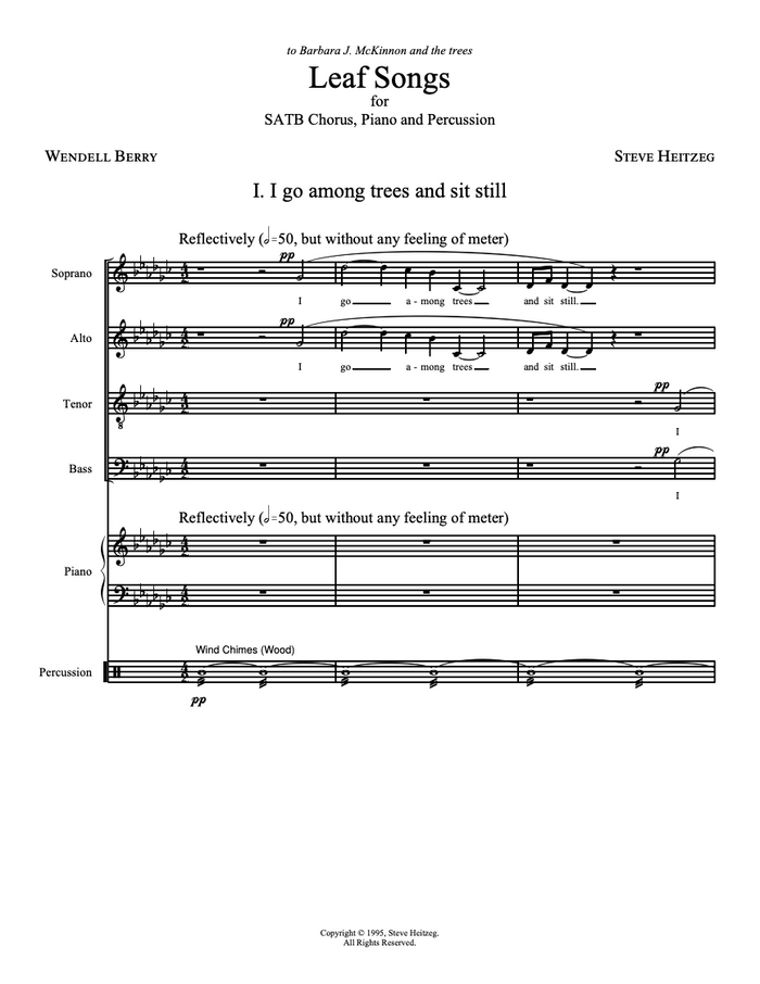 Leaf Songs – Steve Heitzeg