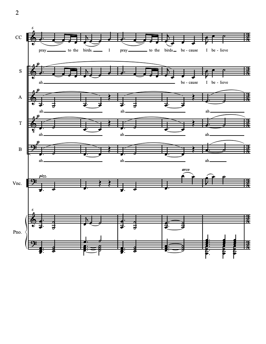 I Pray to the Birds – Steve Heitzeg