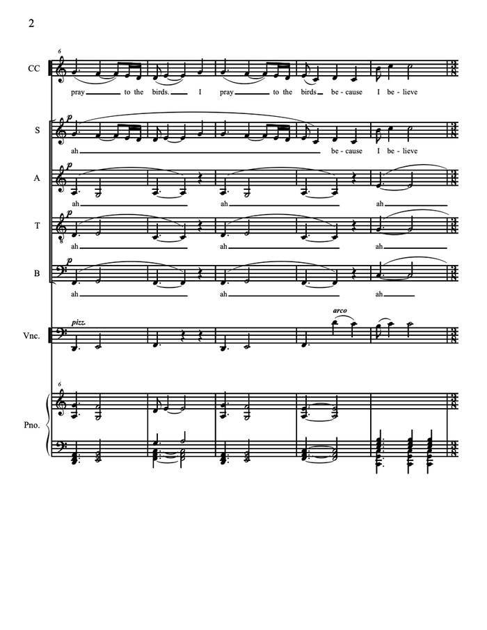 I Pray to the Birds – Steve Heitzeg