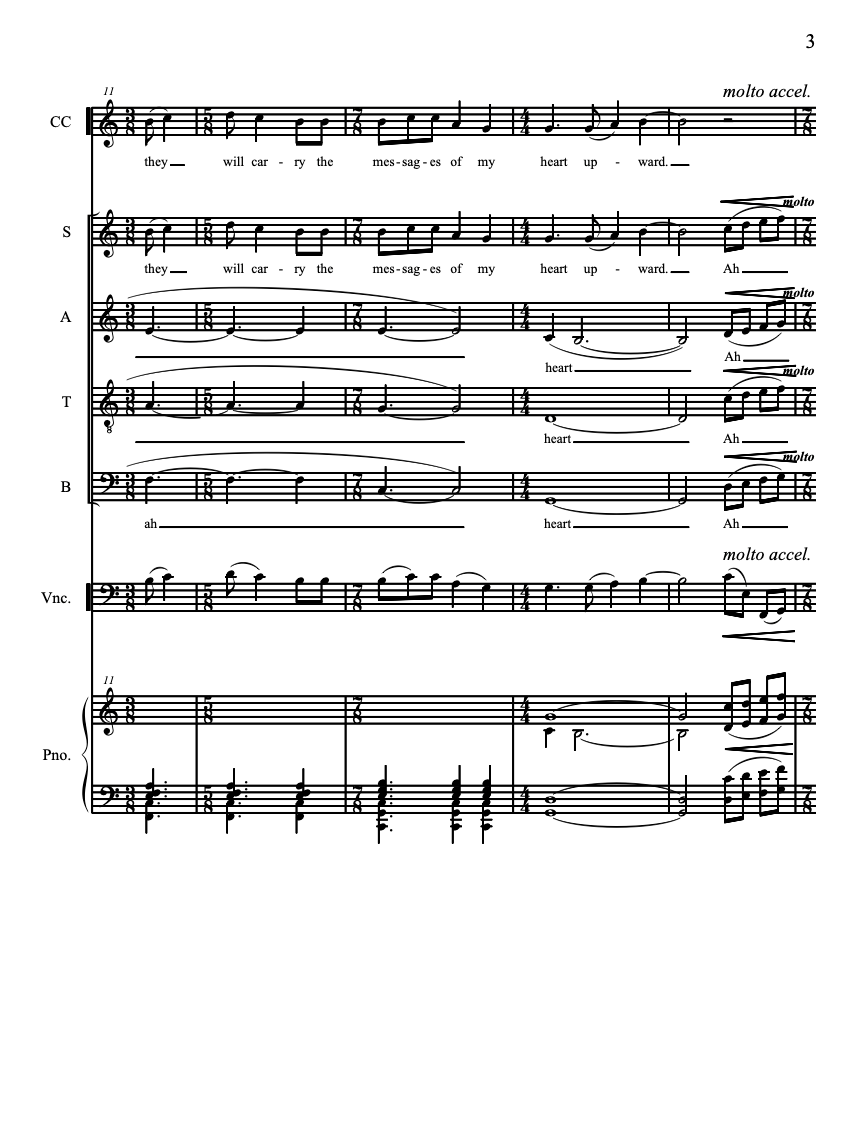 I Pray to the Birds – Steve Heitzeg