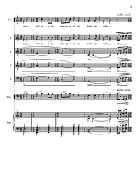 I Pray to the Birds – Steve Heitzeg