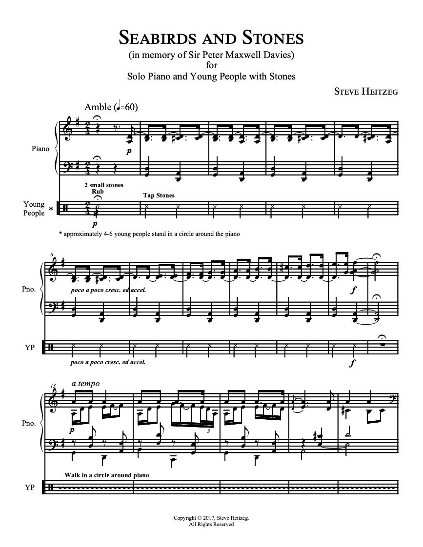 SEABIRDS AND STONES – Steve Heitzeg