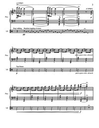 SEABIRDS AND STONES – Steve Heitzeg