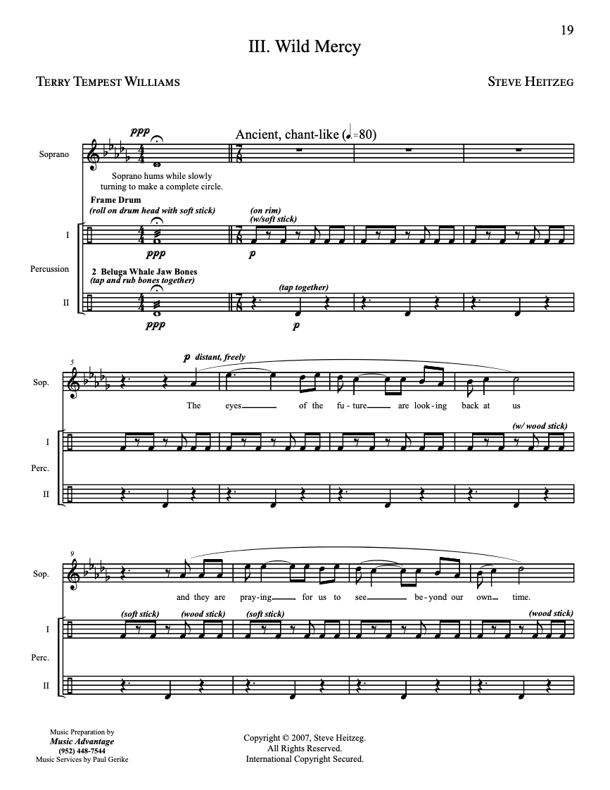 Wild Songs – Steve Heitzeg