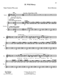 Wild Songs – Steve Heitzeg