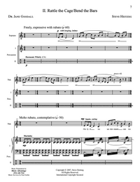 Wild Songs – Steve Heitzeg