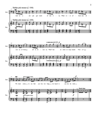 We, Too, Rise – Steve Heitzeg