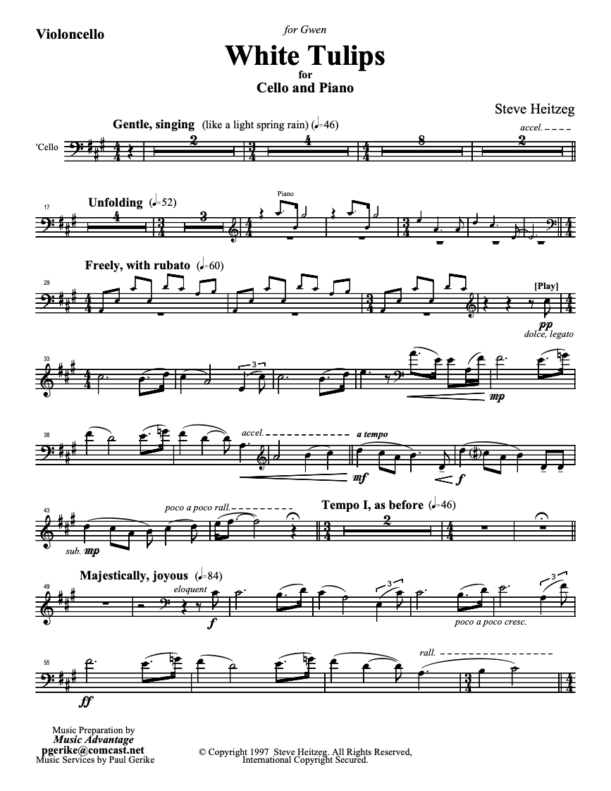 White Tulips – Steve Heitzeg