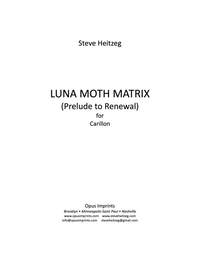 LUNA MOTH MATRIX – Steve Heitzeg