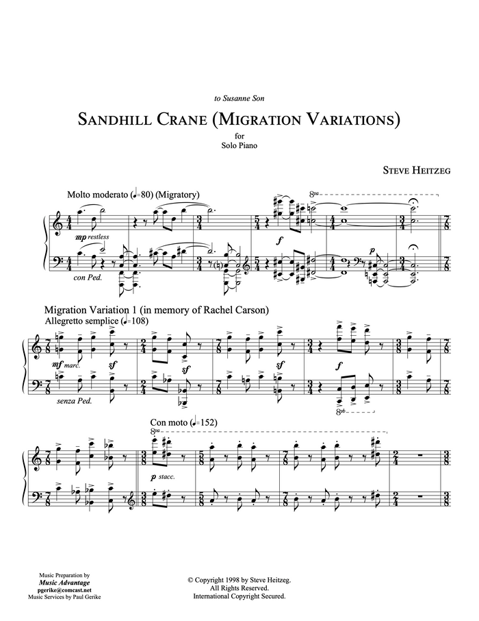 Sandhill Crane (Migration Variations) – Steve Heitzeg