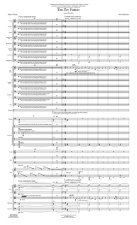 The Tin Forest – Steve Heitzeg